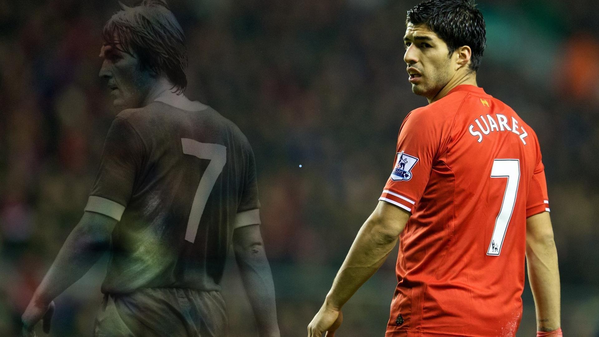 Hamid动画隆重推出2025年世界足坛重要事件速览，引领足球文化新浪潮